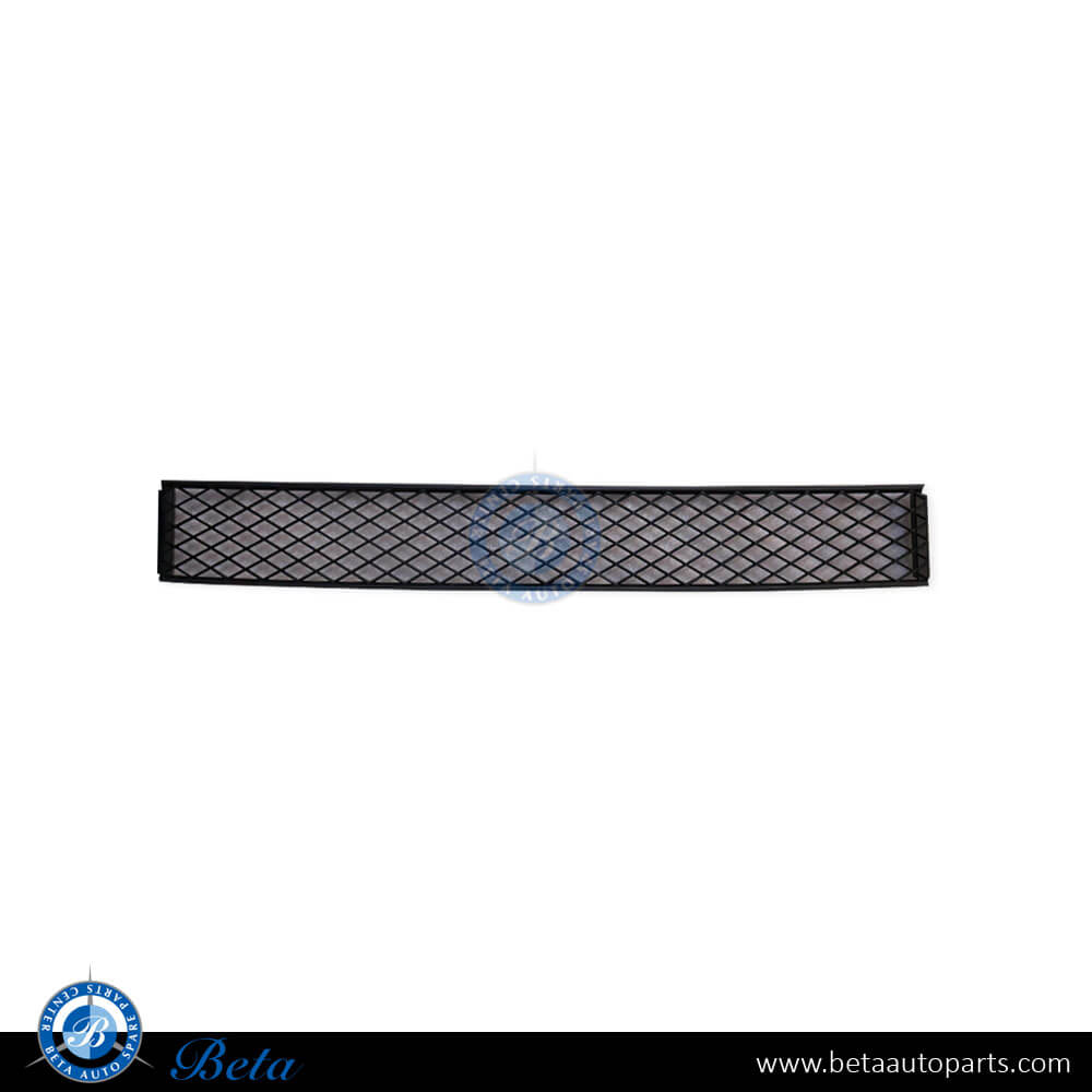 Front Bumper Lower Grille for BMW 7 Series F01/F02 2009-2012 models, Part Number 51117183870 Front Bumper Lower Grille for BMW 7 Series F01/F02 2009-2012 models, Part Number 51117183870